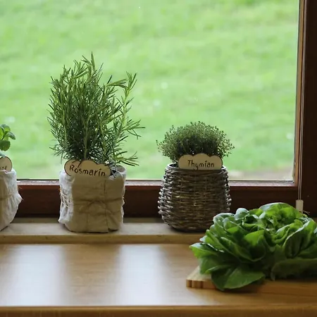 Apartment Auszeit Auf Dem Lindenhof Wangen im Allgäu