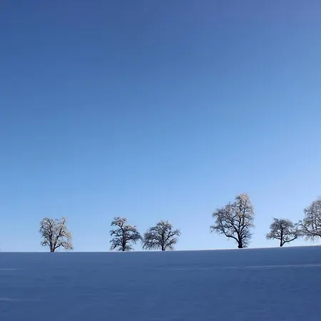 Auszeit Auf Dem Lindenhof Apartment