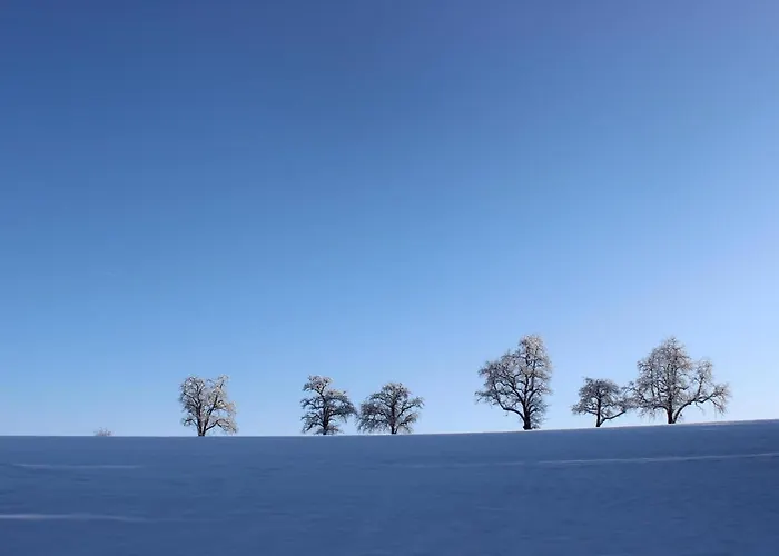 Auszeit Auf Dem Lindenhof Appartement